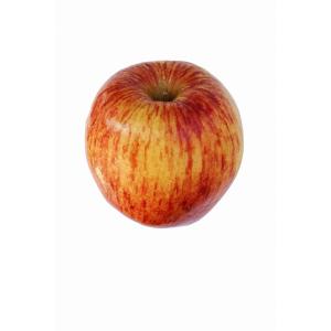 Pure - Apple Akane Large