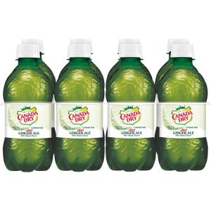Canada Dry - Diet Ginger Ale 8pk