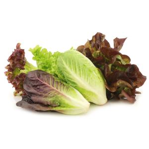 Fresh Produce - Lettuce Romaine Red