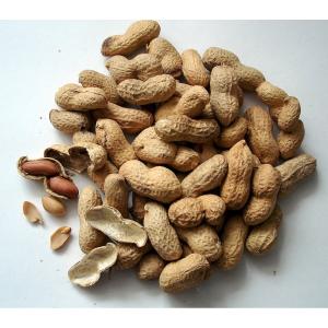Diamond - Nuts Peanuts