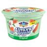 ORIGINAL ALMOND MILK YOGURT