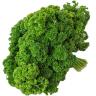 Produce - Parsley Curly