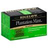 PLANTATION MINT TEA
