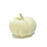 Fresh Produce - Pumpkin Mini White