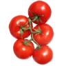 Organic Produce - Tomatoes on the Vine